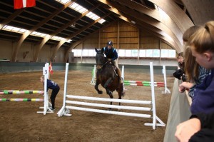 Ridning Flot ridning fra alle deltagere